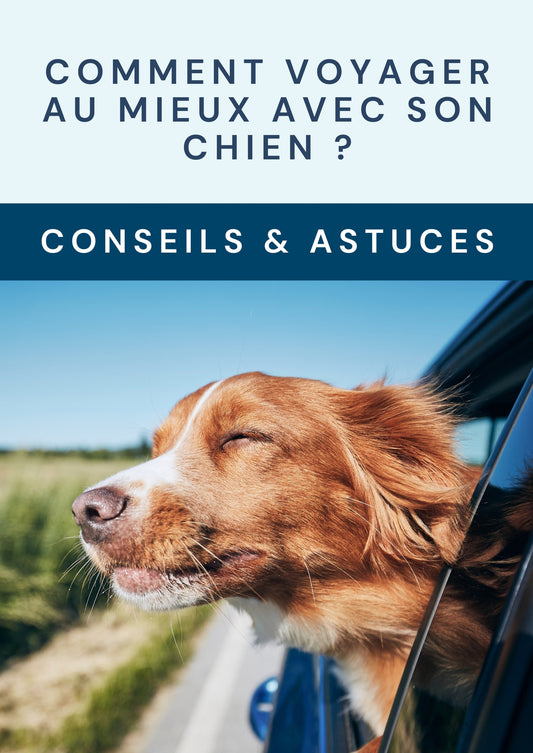 Voyager avec son chien | Guide ultime e-book ™